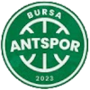 Bursa ANT